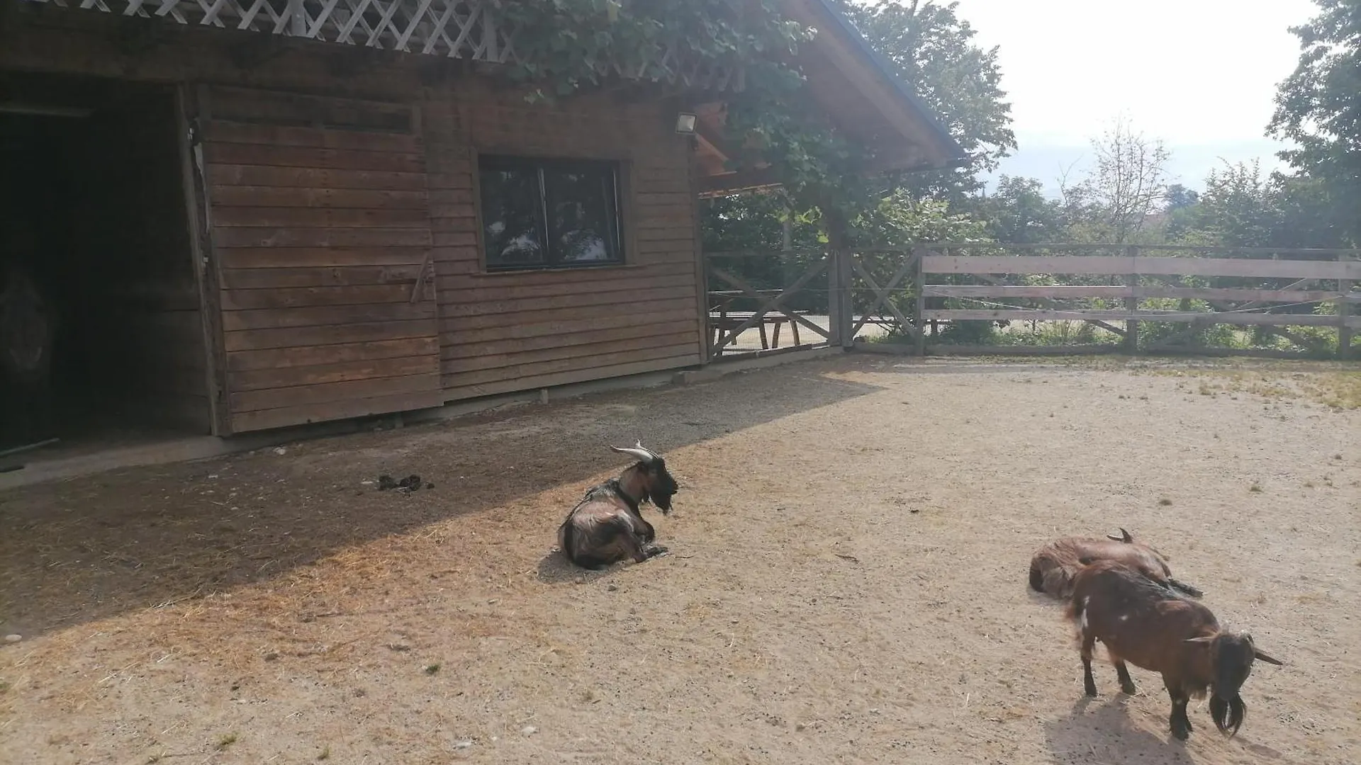 Small Organic Hemp Farm Kranj