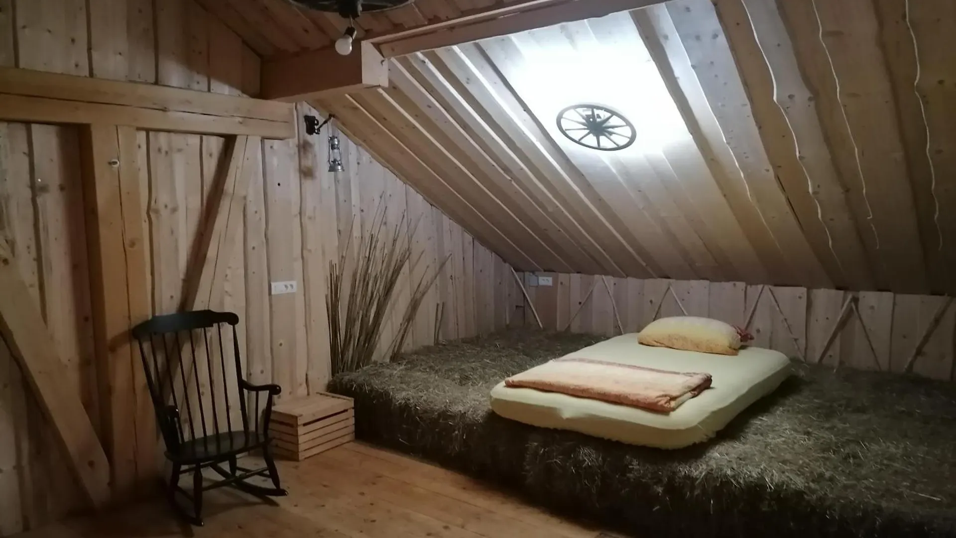 Small Organic Hemp Farm Kranj Campsite