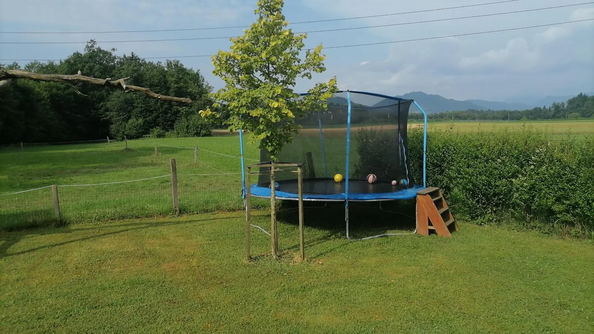 Small Organic Hemp Farm Kranj